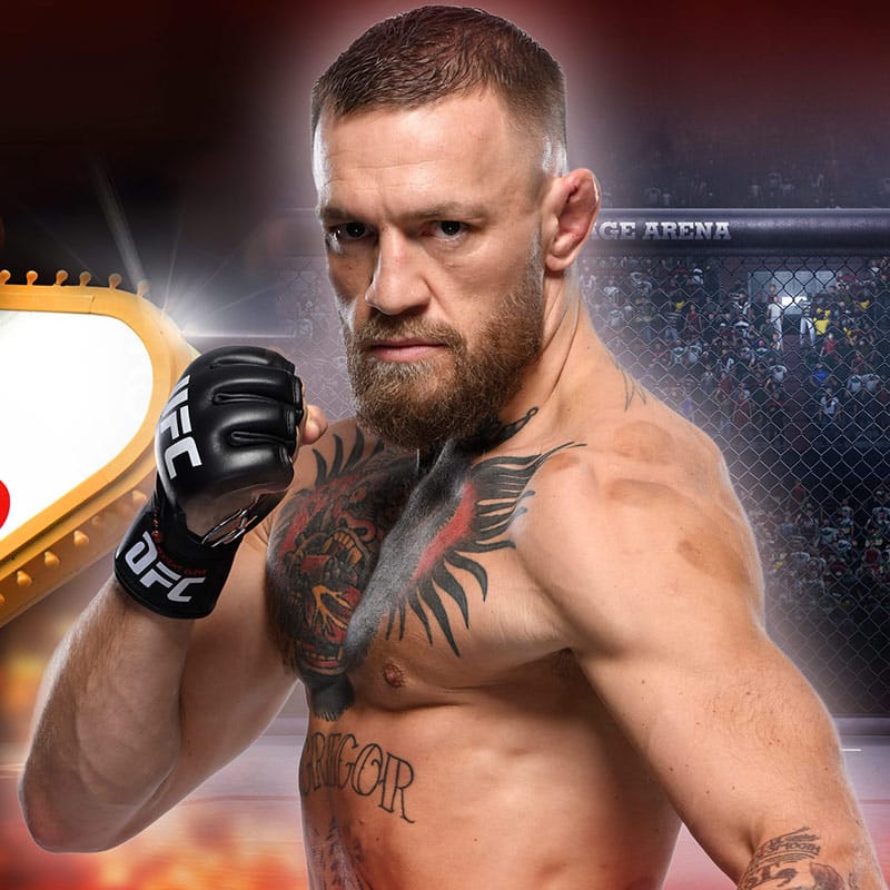 McGregor / Holloway Fight
