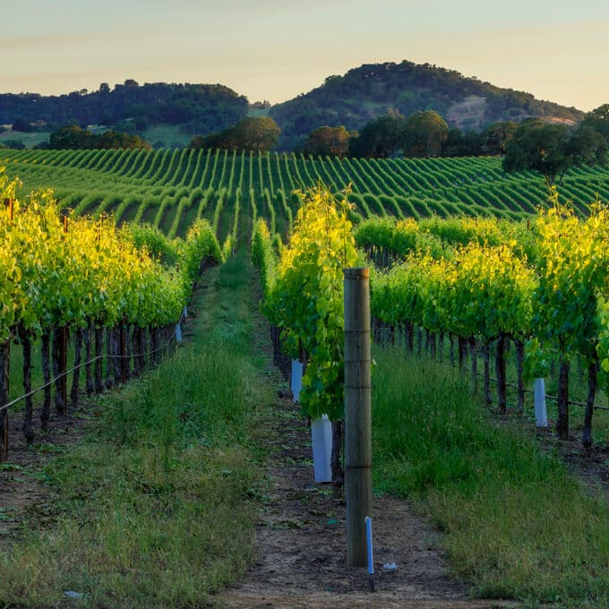 Getaway to Napa - 10